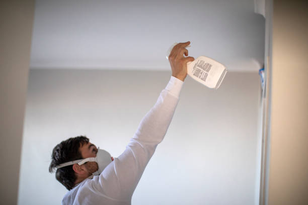 Best Residential Mold Removal  in Pflugerville, TX