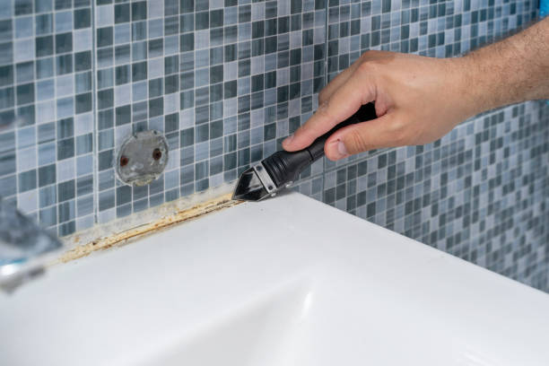 Best Office Mold Removal Services  in Pflugerville, TX