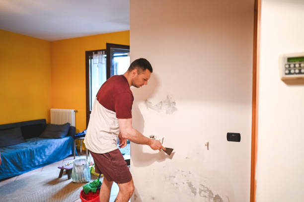 Best Mold Testing  in Pflugerville, TX
